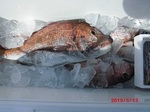 0513-6.jpg