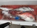 170420-5.jpg