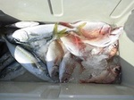170427-1.jpg