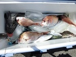 170429-2.jpg