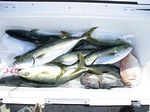 170429-3.jpg