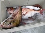 170524-4.jpg