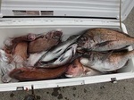 170524-5.jpg