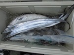 170630-4.jpg