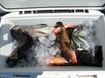 180624-2.jpg