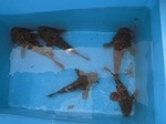 180830-1.jpg