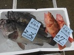 180830-3.jpg