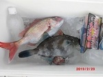 190223-3.jpg