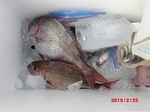 190223-4.jpg