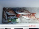 190224-4.jpg
