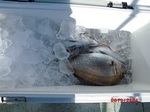 190224-5.jpg