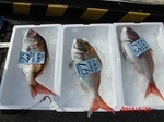 190225-5.jpg
