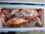 190410-5.jpg