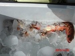 190420-1.jpg