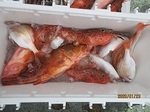 0123-3.jpg