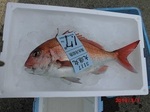 0301-4.jpg