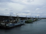 0309-1.jpg