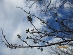 0324-3.jpg
