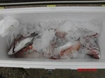 0327-3.jpg