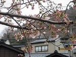 0331-1.jpg