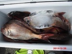 0526-11.jpg