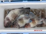 0531-2.jpg