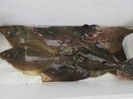 0705-4.jpg