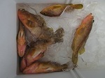 0706-8.jpg