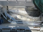 0710-4.jpg