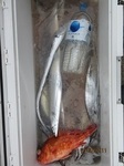 0711-4.jpg