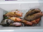 0713-2.jpg