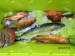 0714-4.jpg