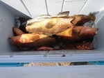 0714-4.jpg