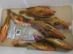 0714-8.jpg