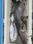 0715-9.jpg