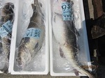 0717-8.jpg