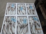 0718-4.jpg