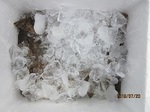 0720-4.jpg