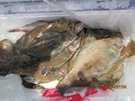 0724-4.jpg