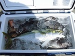0725-4.jpg