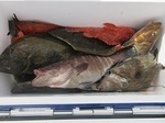 0905-9.jpg