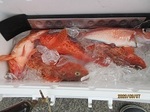 0907-1.jpg