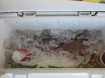 0927-3.jpg