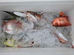 0928-1.jpg
