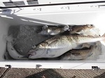161024-6.jpg