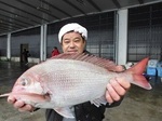 170411-3.jpg