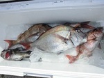 170421-5.jpg