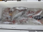 171215-3.jpg