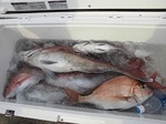 180227-3.jpg