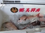 180603-5.jpg